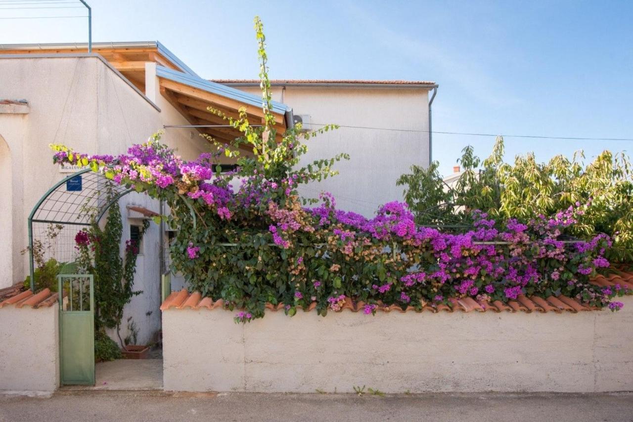 Apartments Anita Summer Vodice Buitenkant foto